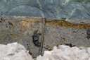 gal/cro 08/_thb_small-IMG_4600.JPG